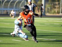 Tigers’ Early Lead Slips Away