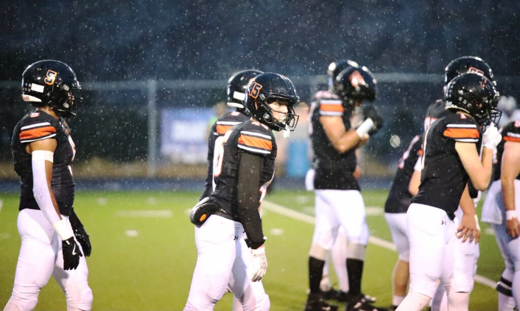 Tigers Rally Twice, Fall to Bolts