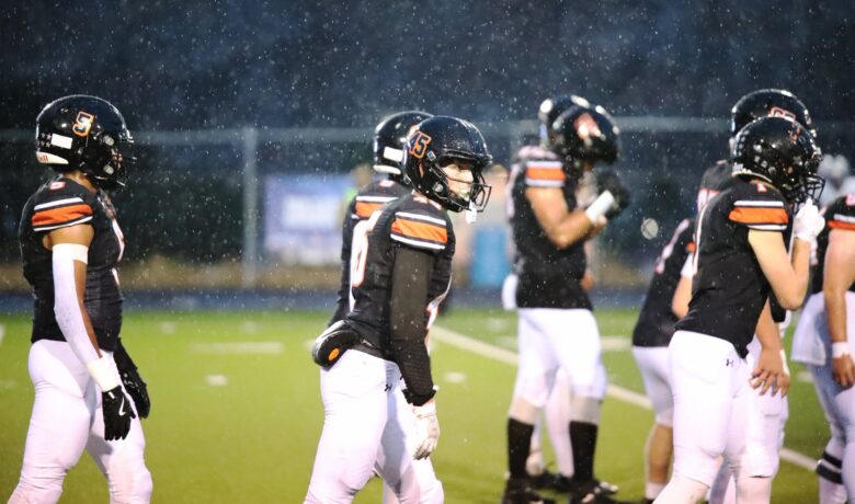 Tigers Rally Twice, Fall to Bolts