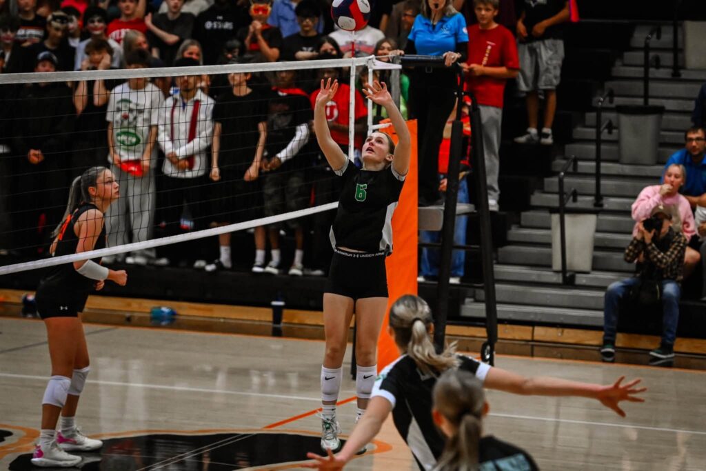 Lady Wolves Open Homecoming Week Against Jackson