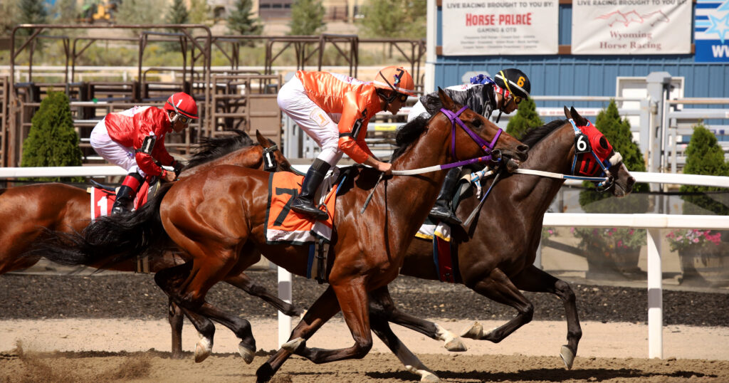Horse Racing Season Enters Final Stretch in Sweetwater County