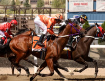 A Day at the Races: Jockey Jesus Canales