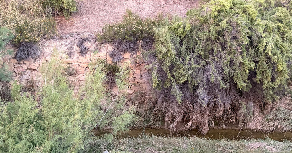 Rock Springs Approves Pearl Street Park Levee Study