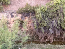 Rock Springs Approves Pearl Street Park Levee Study