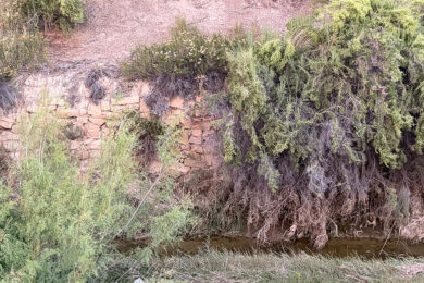 Rock Springs Approves Pearl Street Park Levee Study