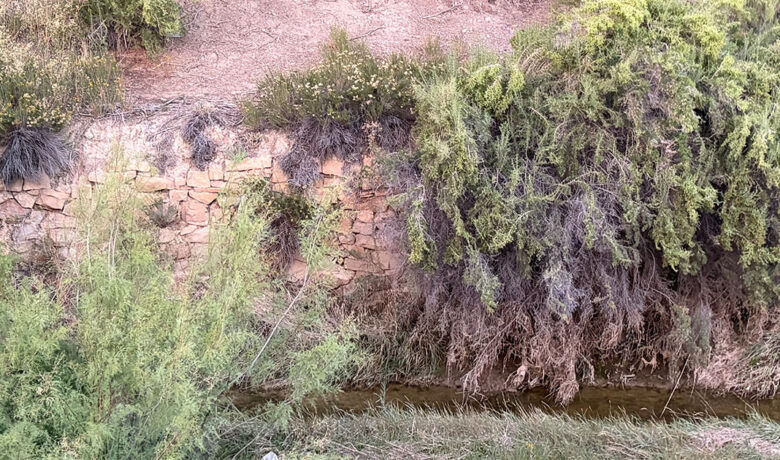 Rock Springs Approves Pearl Street Park Levee Study