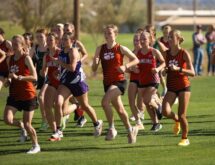 Local Teams Head to State Cross Country