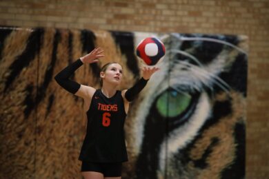 Four Matches Highlight Busy Volleyball Weekend