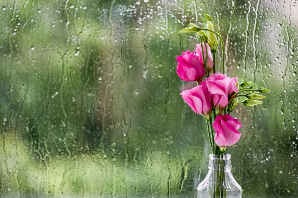 Weather Forecast for Monday, October 12, 2026